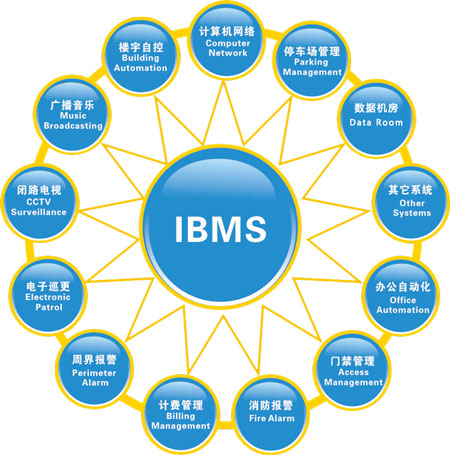 IBMS